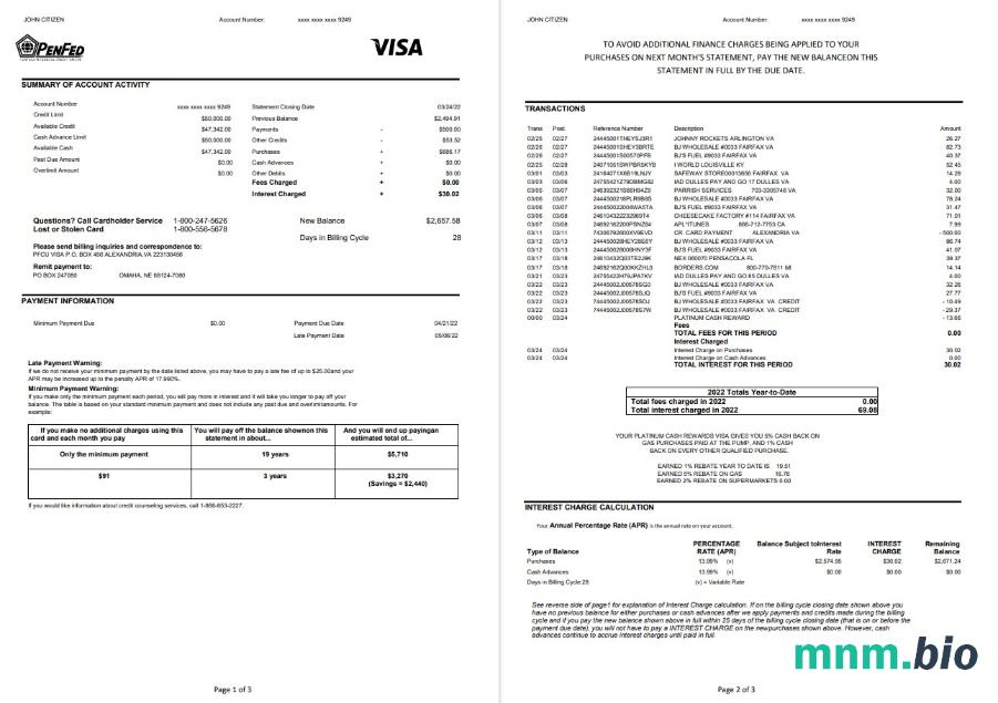USA Payoneer xls